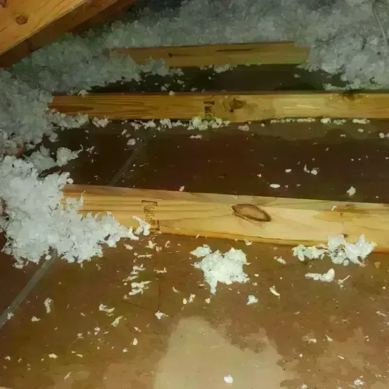 Attic Water Damage in Cordova, NC