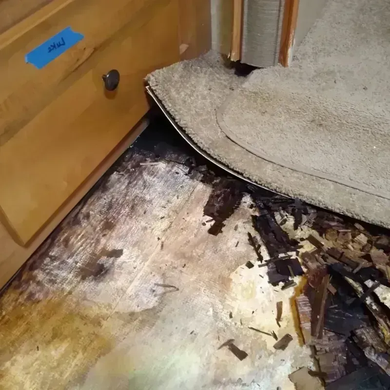 Wood Floor Water Damage in Cordova, NC